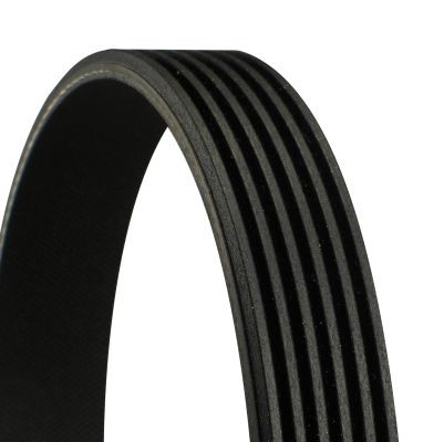 Continental Ctam 6PK831 Elast Keilrippenriemen FüR Ford-image