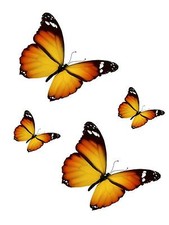 4x sticker adesivi adesivo pc wall auto moto farfalla farfalle giallo murali