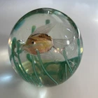 Vintage Fratelli Toso Murano Aquarium Pink Fish Paperweight 3" za3s