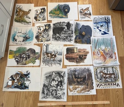 Vintage Wildlife Heat Transfer Lot Bear Deer Wolf Raccoon Iron On Graphics
