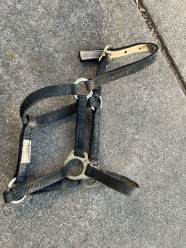Foal/Mini Horse Size Halter