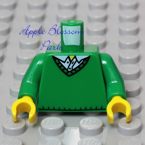 NEW Lego City Girl/Boy Minifig GREEN TORSO w/V-Neck Sweater & Blue Shirt Pattern - 第 5/7 張圖片