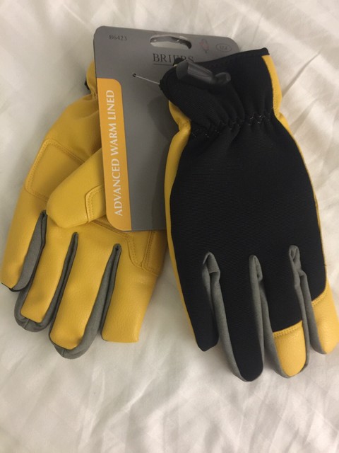 briers thermal gloves