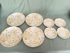 Golden Meadow Sheffield Ironstone – 12-Piece Set – Dinner & Salad Plates, Bowls 