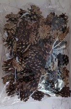 Bag of Small Pine Cones Perfect For Crafting / Wedding / Decoration