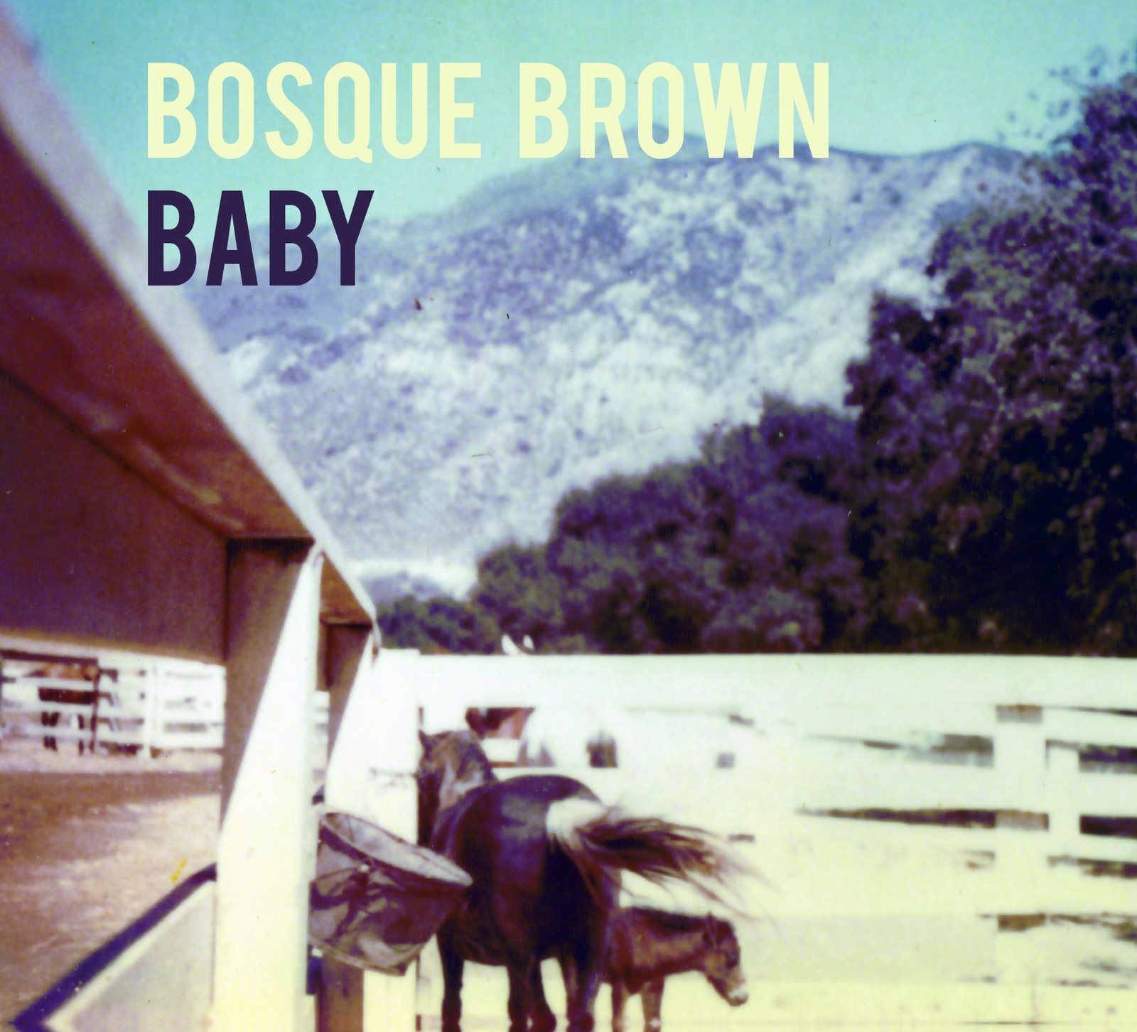 Bosque Brown Baby (CD) Album