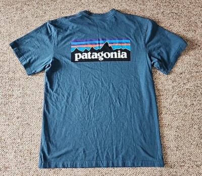 EUC Patagonia Men's Short Sleeve T Shirt Fitz Roy Logo Color Blue Sz Medium M 
