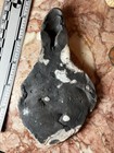 Strange Alien Skeletal Skeleton Rib Ceramic Artifact — photo 9