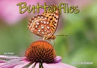 Butterflies - 2027 Rectangle Wall Calendar 16 Months Colorful Butterfly Photos
