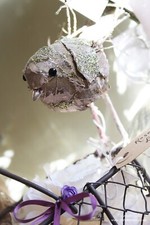 CHAMPAGNE BIRD DECORATION CHRISTMAS ~ REAL LEAVES ~ WOOD ~ GLITTER ~ TREE ~ GIFT