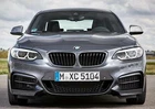 Front Radiator Grille M Performance BMW M2 N55 Genuine
