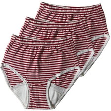 3-Pack Women Incontinence Underwear Regular Absorbency Reusable Washable Briefs