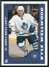 2003-04 Pacific Prospects AHL Kyle Wellwood #83 St. John's Maple Leafs