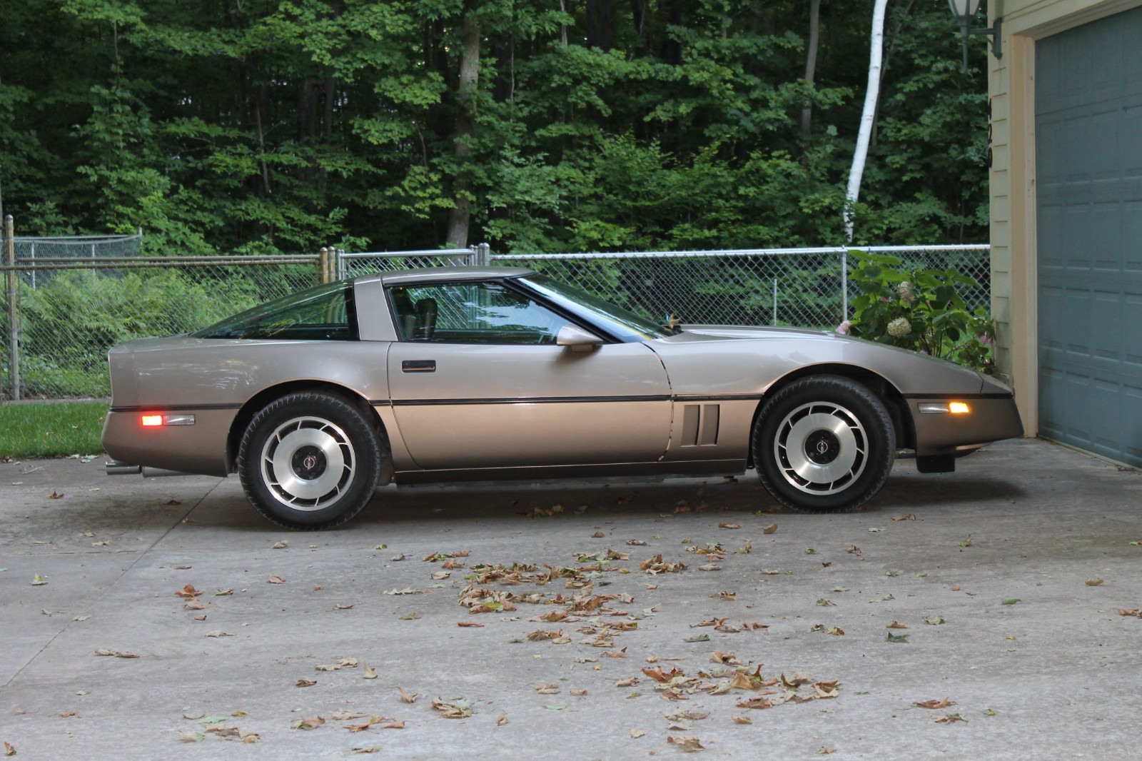 1984 Chevrolet Corvette for sale in Maple City Michigan