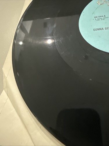 VIOLA WILLS ~ Gonna Get Along Without You Now - 12" Vinyl Single - Perfect L3 - Foto 6 di 7