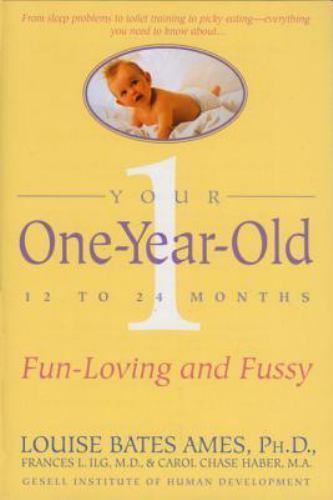 Your One-Year-Old: The Fun-Loving, Fussy 12-To 24-M- 0440506727, paperback, Ames