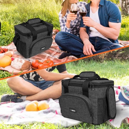 Large Insulated Lunch Bag Mini Cooler for Adults For Travel Women Men Leakproof - Picture 6 of 8