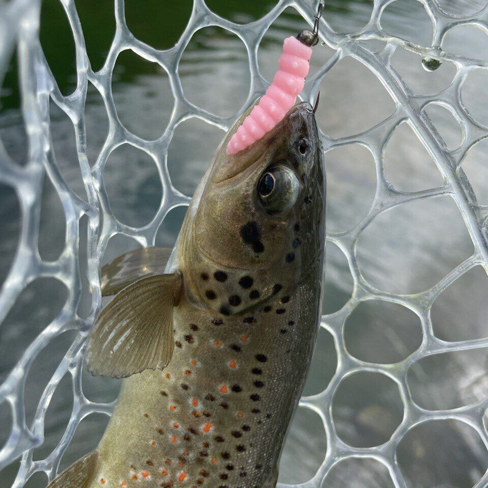 100 Teste Da Jig In Piombo 3/8 Oz Con Ami 1/0