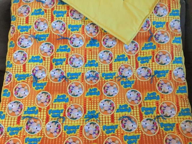 Family Guy blanket | eBay