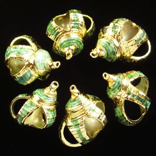 6Pcs 38x25x20mm Natural Gold Plated Nautical Green Spiral Shell Pendant BK120