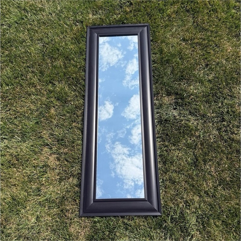 Rectangular Black Wood Framed Accent Wall Mirror, Vertical, Regular Glass