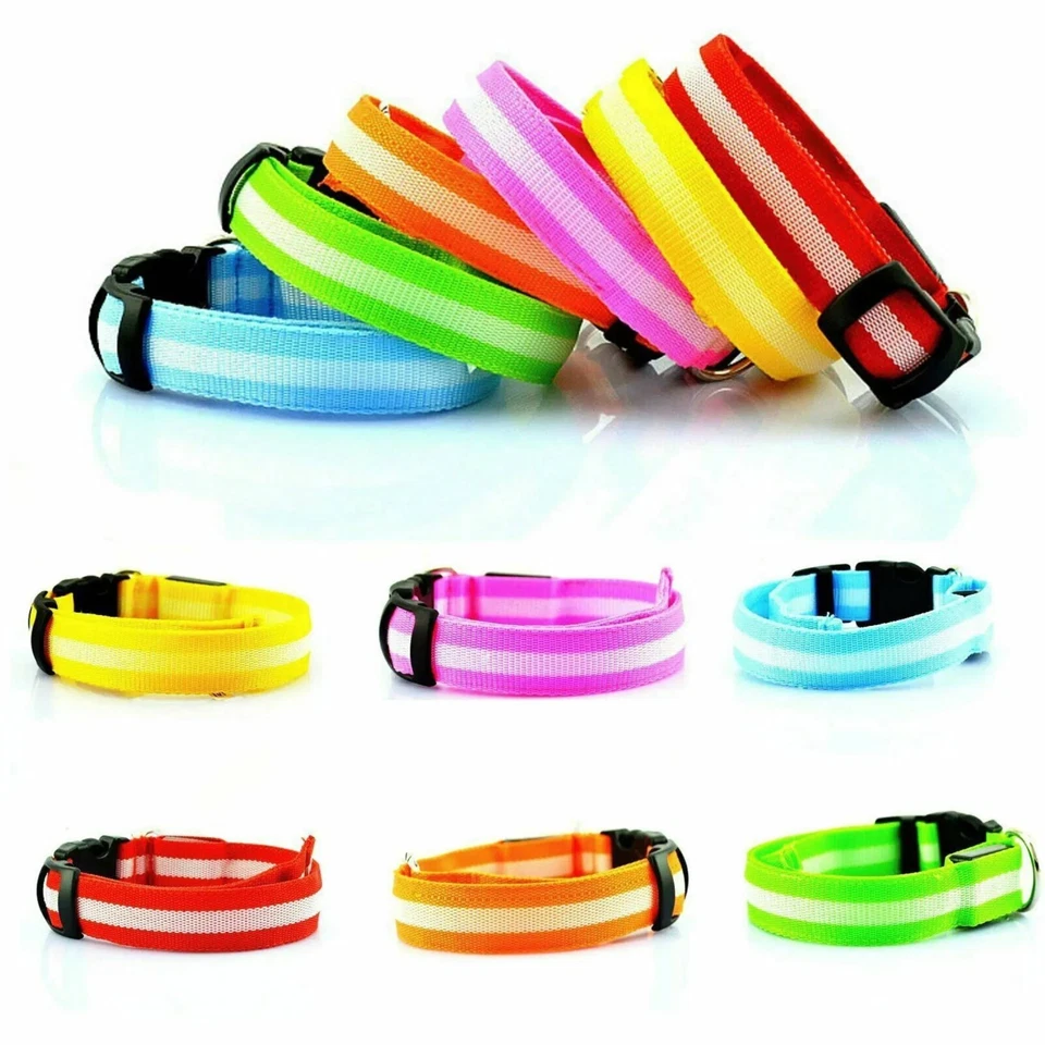 LED Dog Pet Collar USB Rechargeable Flashing Luminous Safety Night Light Up - Image 1 of 4
