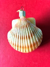 Old World Christmas OWC Glass Blown Ornament, Scallop Shell