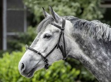 USG Kappzaum aus Leder  schwarz Vollblut/ Warmblut Einheitsgr&ouml;&szlig;e
