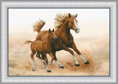 Cross stitch kit Foal with mother 28x26cm Aida 16ct embroidery needlepoint kit