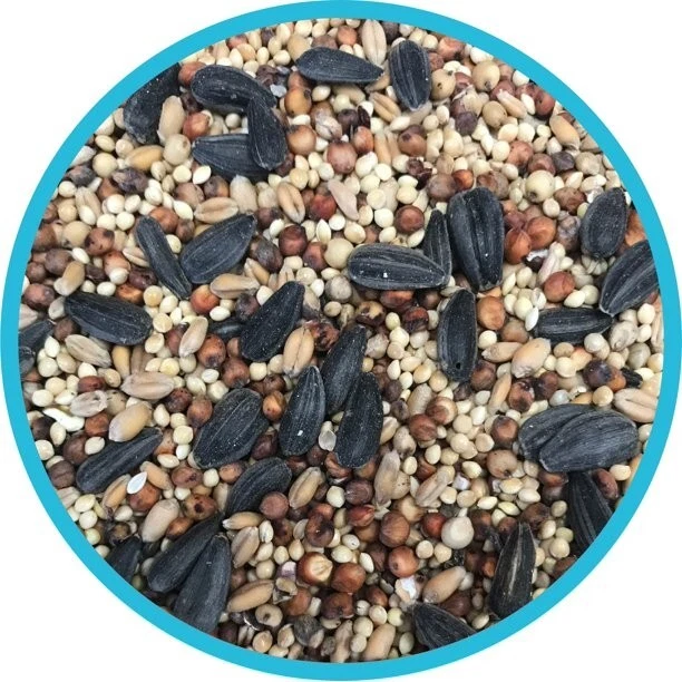 2 Bags Wild Bird Food Seed Mix Birders Blend Bulk 40lb Feed Pennington Classic - Image 2 of 4