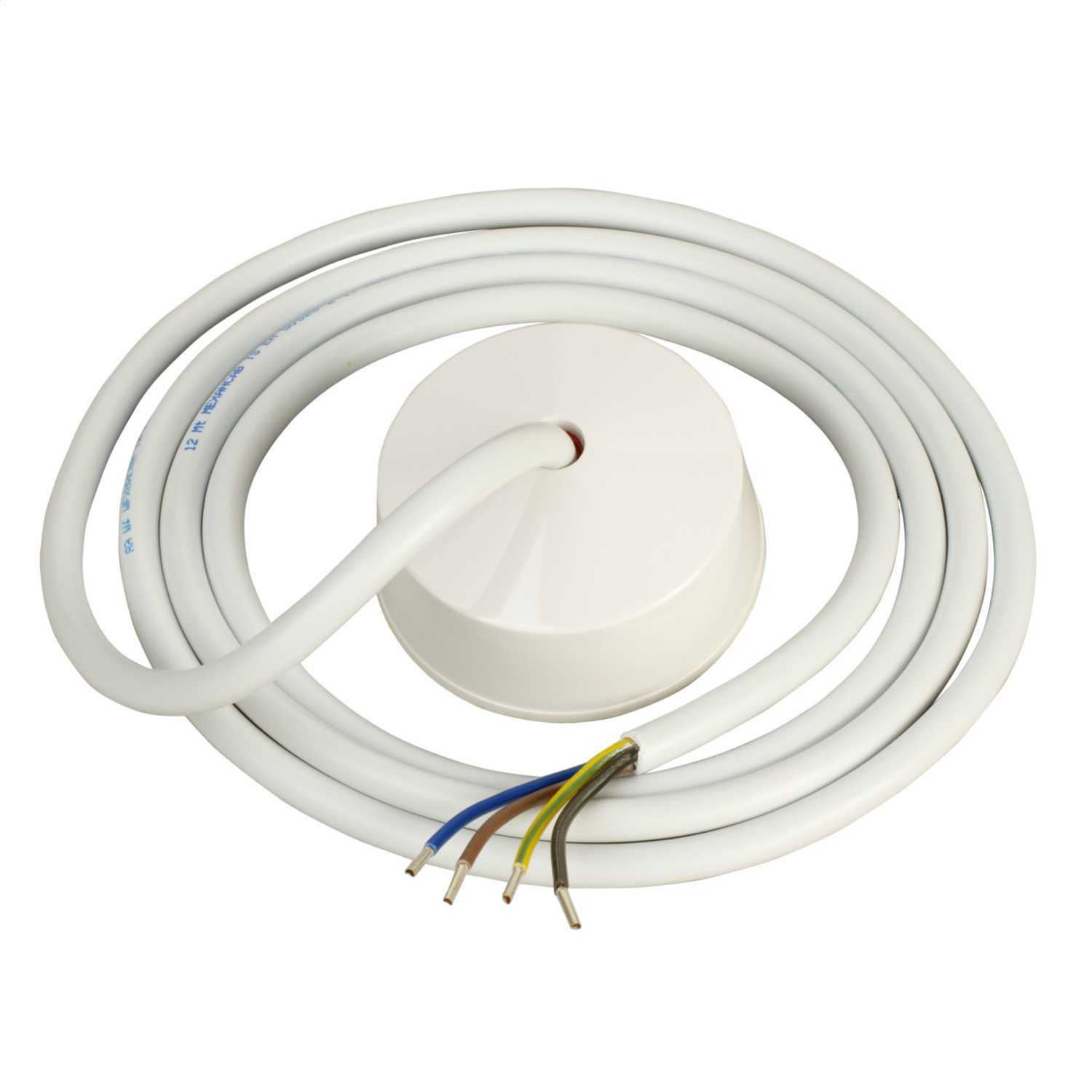 Ceiling Rose Electrical Wiring Shelly Lighting