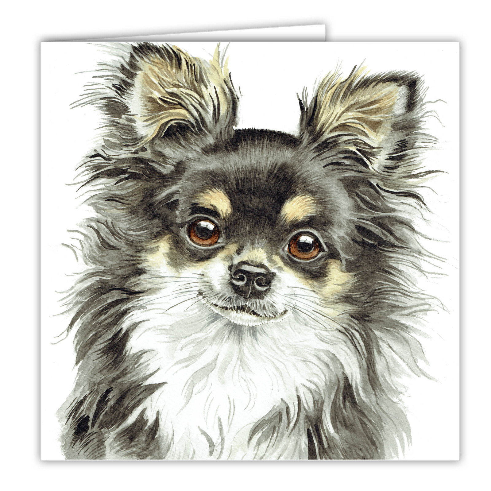 Long Hair Tri Chihuahua greetings card dog blank card toy dogs Chihuahuas cards