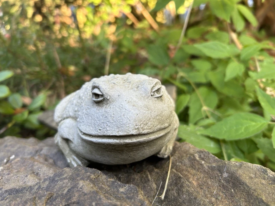 Small Stone Bullfrog Garden Ornament - Pond Statue Frog Toad Decoration Gift - Image 2 of 4