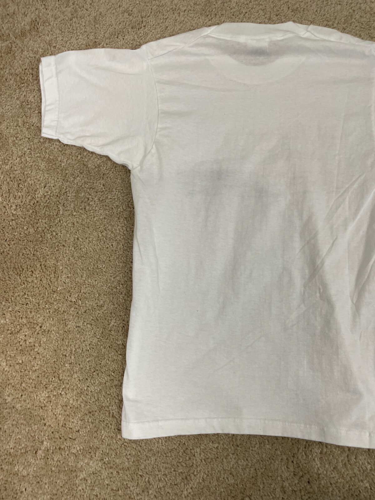 Picture 5 of 11