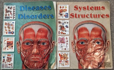 System Structures & Diseases Disorders (The Worlds Best Anatomical Chart Books)
