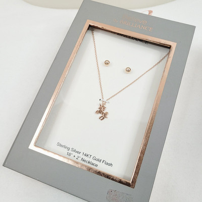 Believe by Brilliance Unicorn Pendant Necklace Earrings Studs Set in Box 18''