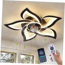 Ceiling Fan with Lights Remote Control, 24" Black, 6 24"-Reversible-Black