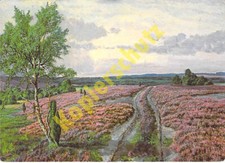 Lüneburger Heide AK Auf dem Heidberg Künstler AnsichtskarteBernhard de Bruycker
