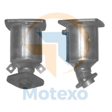 Catalyseurs Suzuki WAGON R+