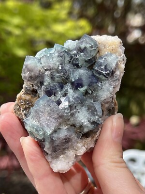 Diana Maria Mine Naughty Gnome Pocket UK Fluorite Purple Green Blue UV React 11