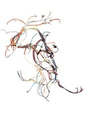 Miele H6880-2BP Oven - Wiring Harness (does not include wiring to/from p. term)