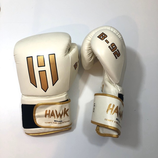 HAWK BOXING GLOVES eBay