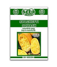 Spaghetti Squash Seeds 20 Seeds Non-GMO
