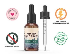 Blue Lotus Tincture - Dreamer Shrooms