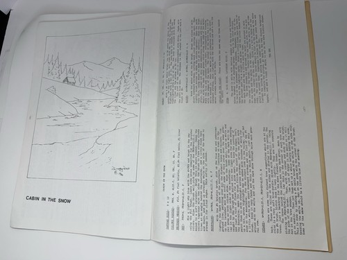 Paesaggi segati e altro libro dipinto decorativo Dorothy Dent 1980 idea modello artigianale - Foto 5 di 5