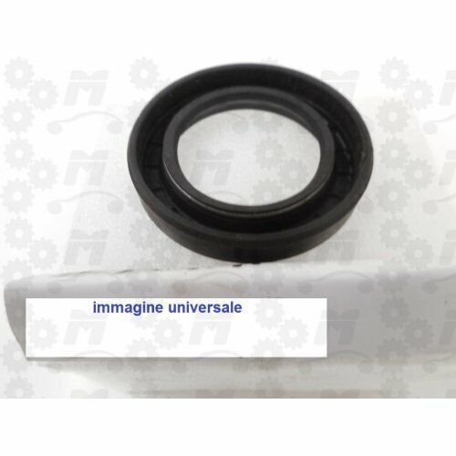 Federnagel Set 2-tlg. Mit Doppelköpfen - 3500 PSI Für Holz, Metall & Glas