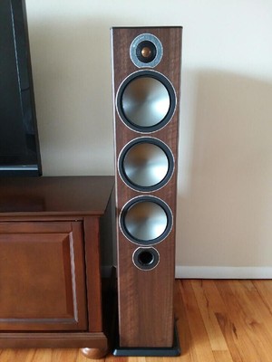 monitor bronze 6