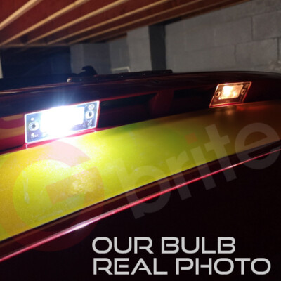 CANBUS LED Number Plate Bulbs For BMW E92 E60 E46 E90 M3 & More - 6000K Xenon White, Error Free
