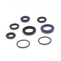 Parolio Motor Kymco Agility R10 50CC FüR Kymco People S 4T 50 06-08 4T