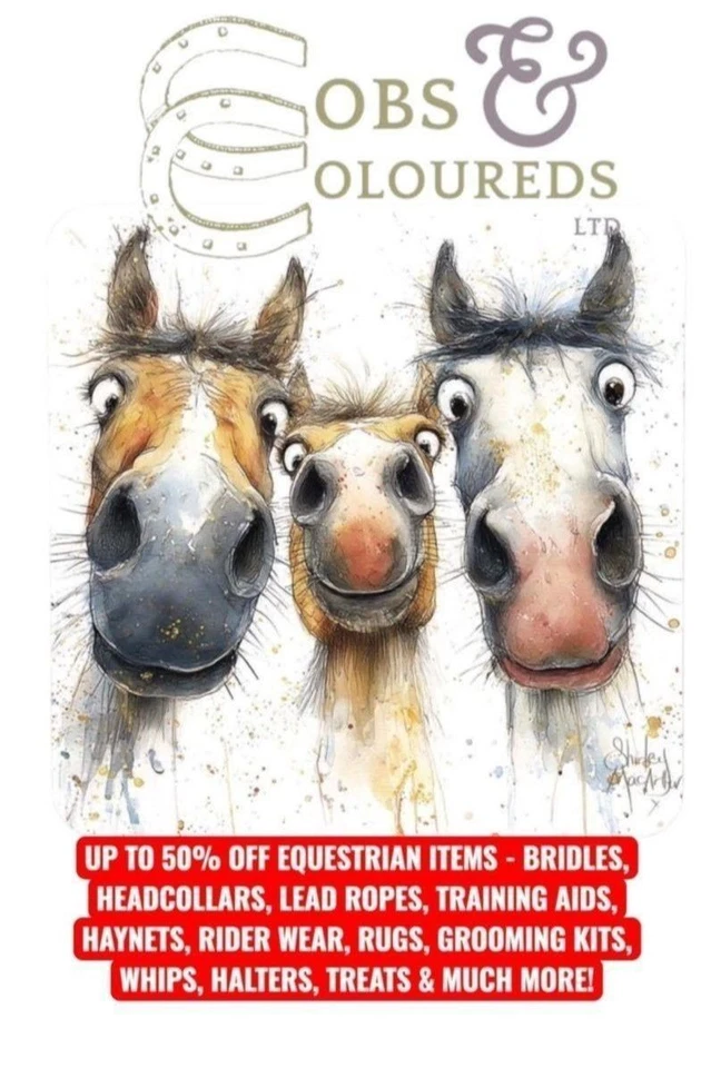 TACK RIDER WEAR HARNESS TREATS HEADCOLLARS GROOMING HAYNETS UP TO 50% OFF